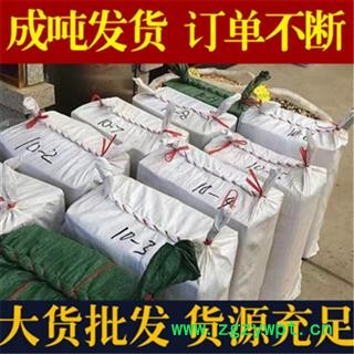 三七 水洗60头三七不超65头 产地 云南省文山壮族苗族自治州文山县图3