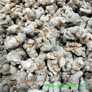 三七 三七40头 产地 云南省文山壮族苗族自治州图2