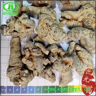 世元药业 三七水洗滑头不打蜡30头 田七 人参三七 37 金不换图3