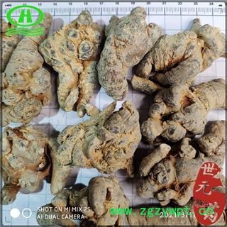 世元药业 三七水洗滑头不打蜡30头 田七 人参三七 37 金不换图2