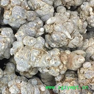 三七 水洗三七22头 产地直销 低价促销  产地 云南省图2