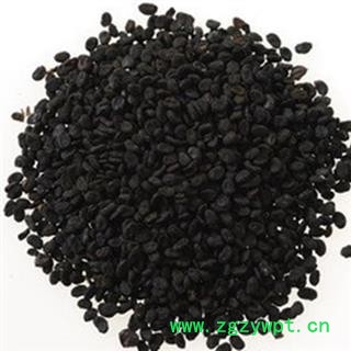 补骨脂 故脂 破故纸 破故脂 婆固脂 黑故纸产地 云南省昭通市巧家县 娟子中药图2