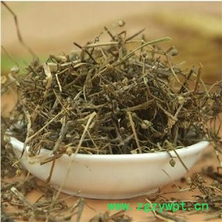 蛇草 选装 虽然很贵 但很真实 批发各种规格 中药材 花茶 矿石 产地 云南省