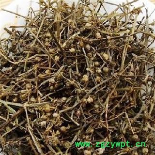 正品白花蛇舌草净货选货 质量好 价格低 产地直销 产地 江西省图2