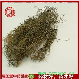 白花蛇舌草家种选货 中草药百花蛇舌草 生白花蛇舌草瑞芝堂产地直销1000g图2