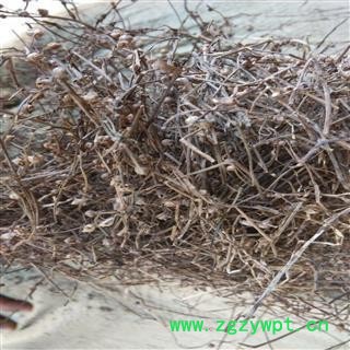 白花蛇舌草 白花蛇舌草  野生 统货 产地 江西省萍乡市图2