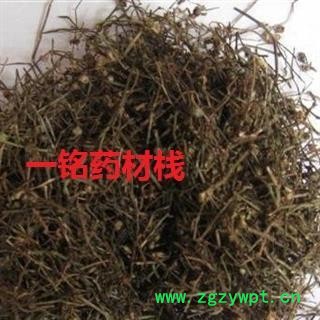 白花蛇舌草 白花蛇舌草家种统货 产地 河南省图2
