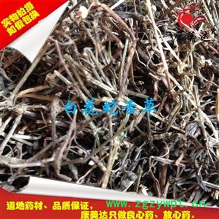 白花蛇舌草 统货 产地 湖北省 凯捷中药图2