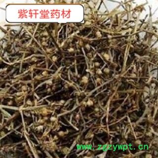 白花蛇舌草 发货前过筛干净 产地 河南省 地道药材图2