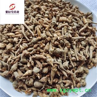 三七 三七芽 水洗三七芽 产地云南省 实物拍摄 免费打粉图4