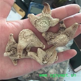 白芨 白及 正品无硫三叉白芨  新店上线 价格低廉 规格齐全  贵州省图2