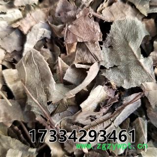 矮地茶  别称-不出林 平地木图2