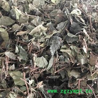 中药材矮地茶 品种齐全 产地河北 安国中药材批发零售大全图2