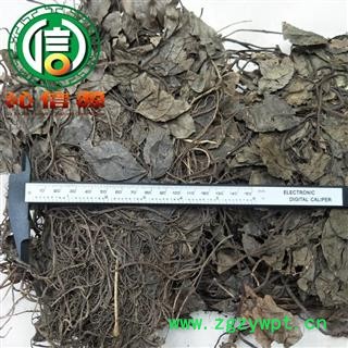 【满包邮】矮地茶整株个子统货散装产地直供平地木沁信源中药批发图2