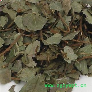 吉康药业矮地茶 不出林 平地木图2