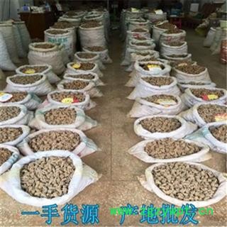 三七 产地直销20头30头40头50头60头80头等 免费打粉 产地 云南省文山壮族苗族自治州文山县图3