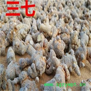 三七 产地直销20头30头40头50头60头80头等 免费打粉 产地 云南省文山壮族苗族自治州文山县图4