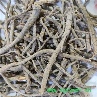 三七 三七筋条纯根条含量足够货纯干水洗 产地 云南省图2