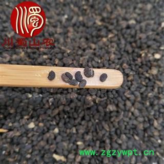 补骨脂选货1公斤起批散装破故纸产地直供川蜀山农中药材批发图3