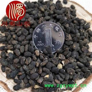 补骨脂选货1公斤起批散装破故纸产地直供川蜀山农中药材批发图4