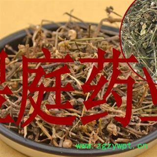 煜庭药业 白花蛇草 白花舌草图2