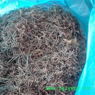 白花蛇舌草，白花蛇草，野生， 质量正品 产地 广西壮族自治区图2