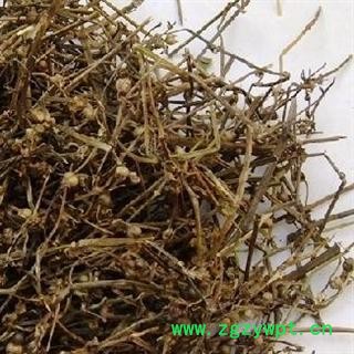 德誉堂药业白花蛇舌草 选白花蛇舌草 产地 江西图2