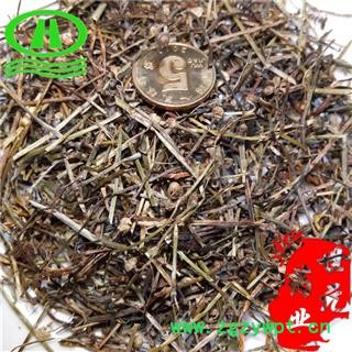 世元药业 白花蛇舌草 大白花蛇草 干净除尘 优质 羊须草 蛇总管 百花蛇舌草图2