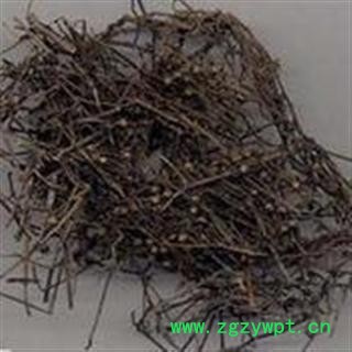 小丽百草行中药材 千打锤 铁线树 台乌图2