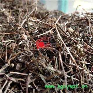 白花蛇舌草 统 产地 湖北省宜昌市枝江市图3