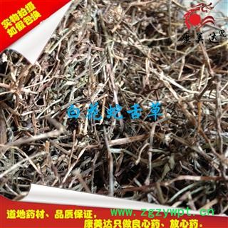 白花蛇舌草 统 产地 湖北省宜昌市枝江市图2