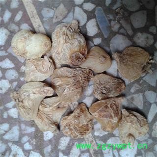 白芨 扁白芨精选个儿 产地 云南省普洱市思茅区 大货批发价图2