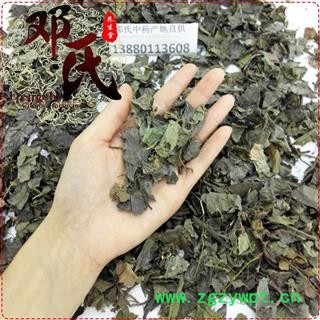 矮地茶 平地木 叶下红 统货 优选品质 产地直供 邓氏中药材批发图3