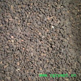 补骨脂 统 产地 云南省文山壮族苗族自治州图2