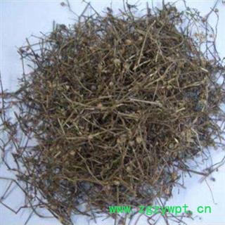 灵吉药业  白花蛇舌草   蛇舌草  矮脚白花蛇利草，蛇舌癀，目目生珠草，节节结蕊草，鹩哥利、千打捶、羊须草，蛇总管图2