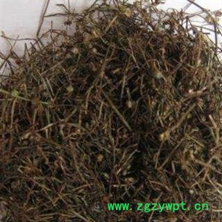 灵吉药业  白花蛇舌草   蛇舌草  矮脚白花蛇利草，蛇舌癀，目目生珠草，节节结蕊草，鹩哥利、千打捶、羊须草，蛇总管图3