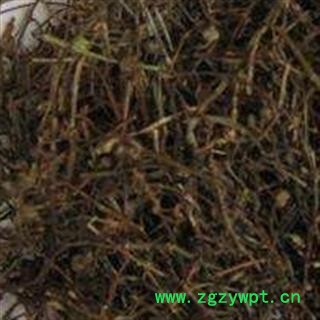 灵吉药业  白花蛇舌草   蛇舌草  矮脚白花蛇利草，蛇舌癀，目目生珠草，节节结蕊草，鹩哥利、千打捶、羊须草，蛇总管图4