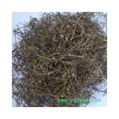 灵吉药业  白花蛇舌草   蛇舌草  矮脚白花蛇利草，蛇舌癀，目目生珠草，节节结蕊草，鹩哥利、千打捶、羊须草，蛇总管