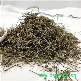 白花舌草 白花蛇草家种统货 产地 河南省图2