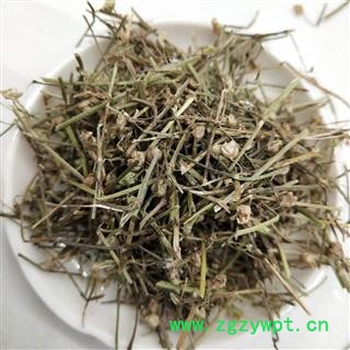 白花舌草 白花蛇草家种统货 产地 河南省