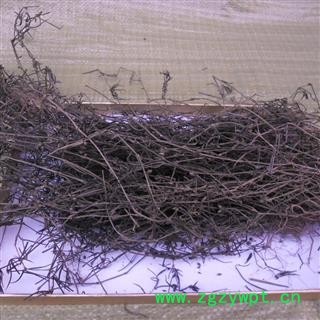 白花蛇舌草精品 好货 产地 四川省成都市双流县图2