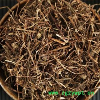 圣草康园白花蛇舌草 大白花蛇草图2