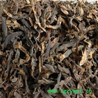 壁虎 新货 选  产地 山西省阳泉市城区 库存 300公斤可售图3