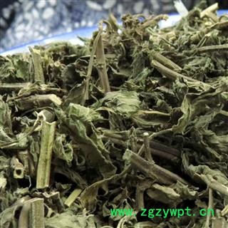 薄荷 选货 产地 重庆市县巫山县图3