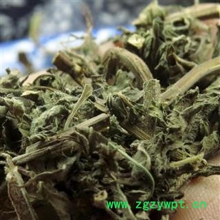 薄荷 选货 产地 重庆市县巫山县图2