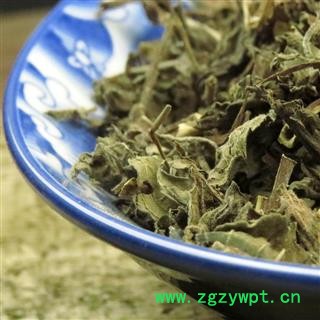 薄荷 选货 产地 重庆市县巫山县图4