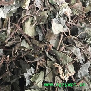 中药材矮地茶吸尘切货 统货 湖北矮地茶 安国市聚益中药材批发零售大全图4