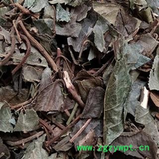 中药材矮地茶吸尘切货 统货 湖北矮地茶 安国市聚益中药材批发零售大全图3