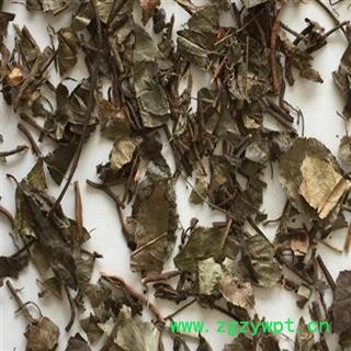 中药材矮地茶吸尘切货 统货 湖北矮地茶 安国市聚益中药材批发零售大全图2