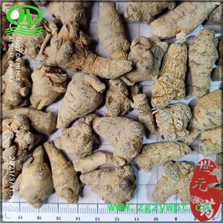 世元药业 三七水洗滑头不打蜡标准120头 云南 性价比高 田七 金不换 37图2